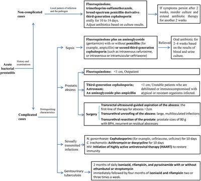 【SURGERY】 Process 004 Frontiers | Modalities and Mechanisms of Treatment for